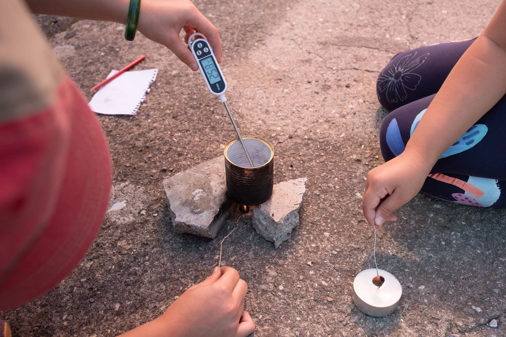 Das Haselnussexperiment