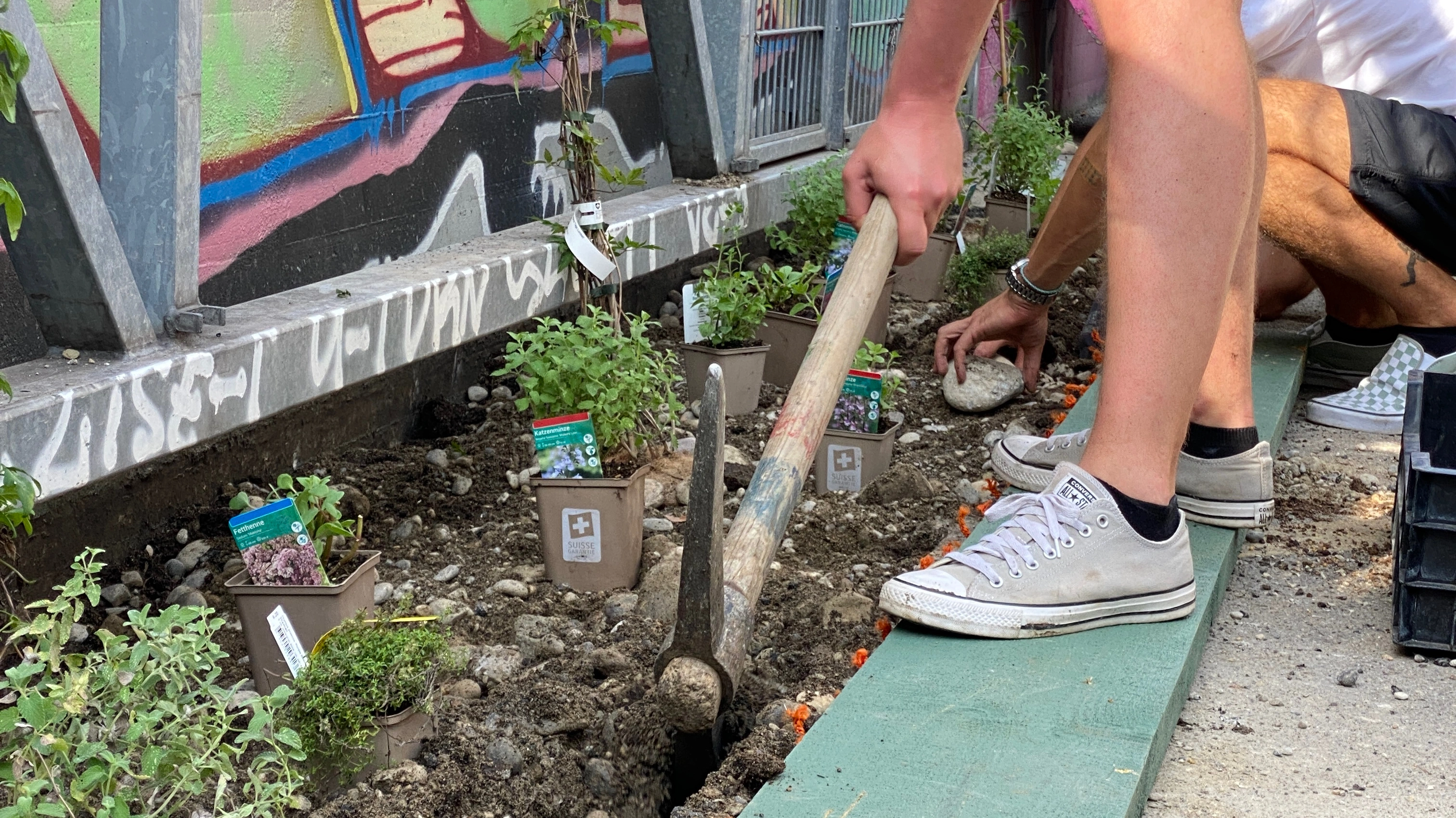 Substrat wird eingelegt